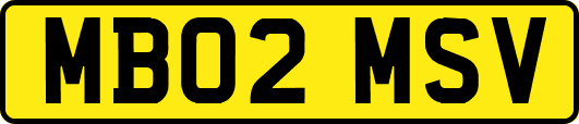MB02MSV