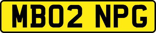 MB02NPG