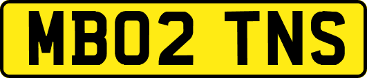 MB02TNS