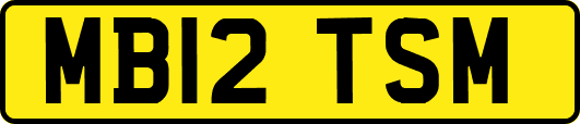 MB12TSM