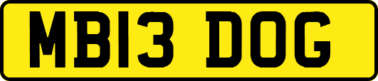 MB13DOG