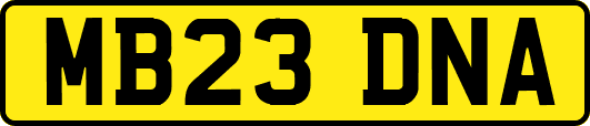 MB23DNA