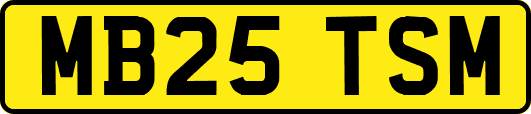 MB25TSM