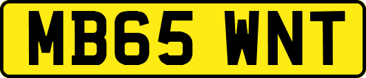 MB65WNT