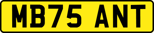 MB75ANT