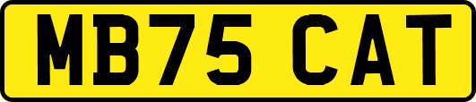 MB75CAT
