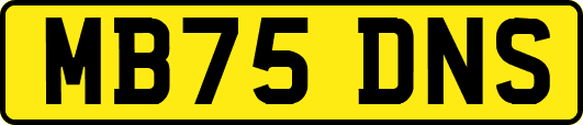 MB75DNS