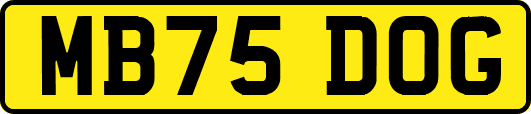 MB75DOG
