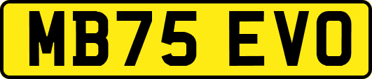 MB75EVO