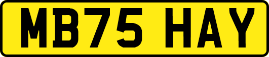 MB75HAY