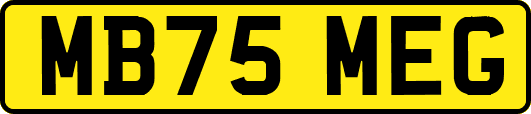MB75MEG