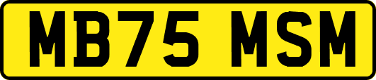 MB75MSM