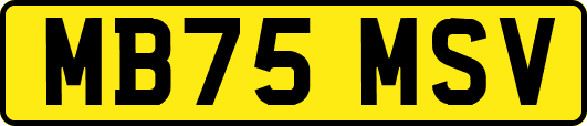 MB75MSV
