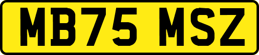 MB75MSZ