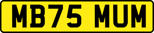 MB75MUM