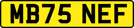 MB75NEF