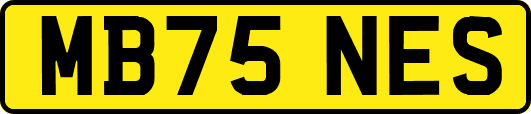 MB75NES