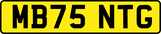MB75NTG