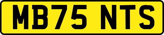MB75NTS