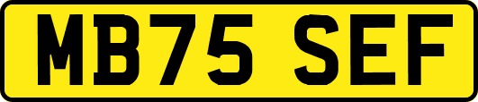 MB75SEF
