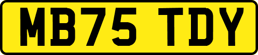 MB75TDY