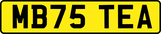 MB75TEA