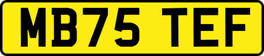 MB75TEF