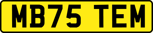 MB75TEM