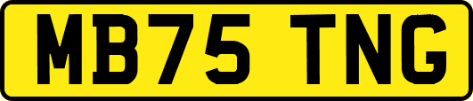 MB75TNG