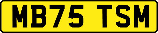 MB75TSM