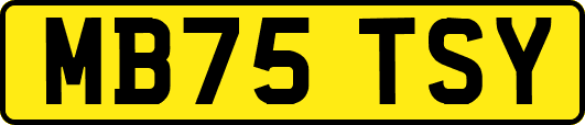 MB75TSY