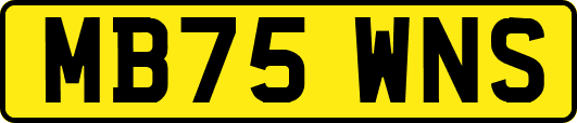 MB75WNS