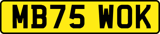 MB75WOK
