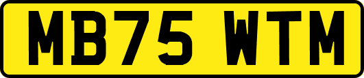 MB75WTM