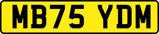 MB75YDM