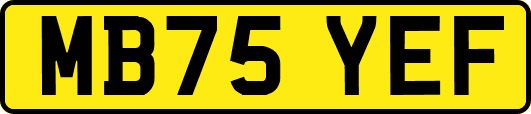 MB75YEF