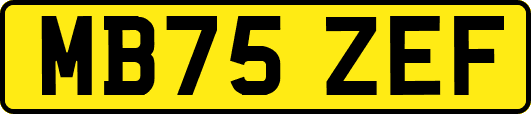 MB75ZEF