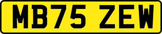 MB75ZEW