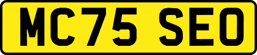 MC75SEO