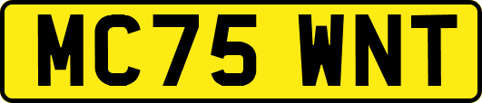 MC75WNT