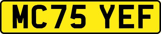 MC75YEF