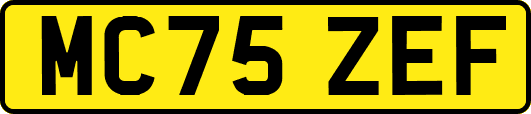 MC75ZEF