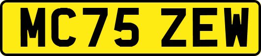 MC75ZEW