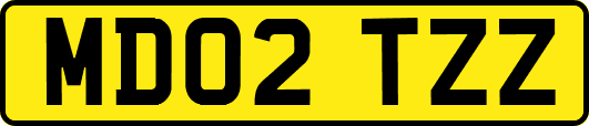 MD02TZZ