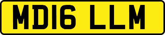 MD16LLM