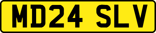 MD24SLV