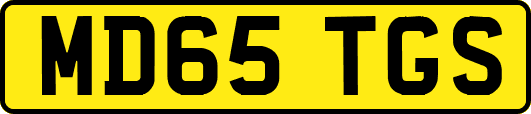 MD65TGS
