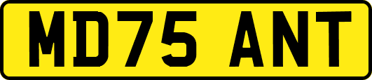 MD75ANT