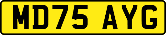 MD75AYG