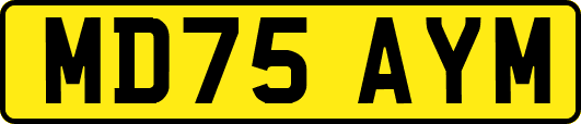 MD75AYM